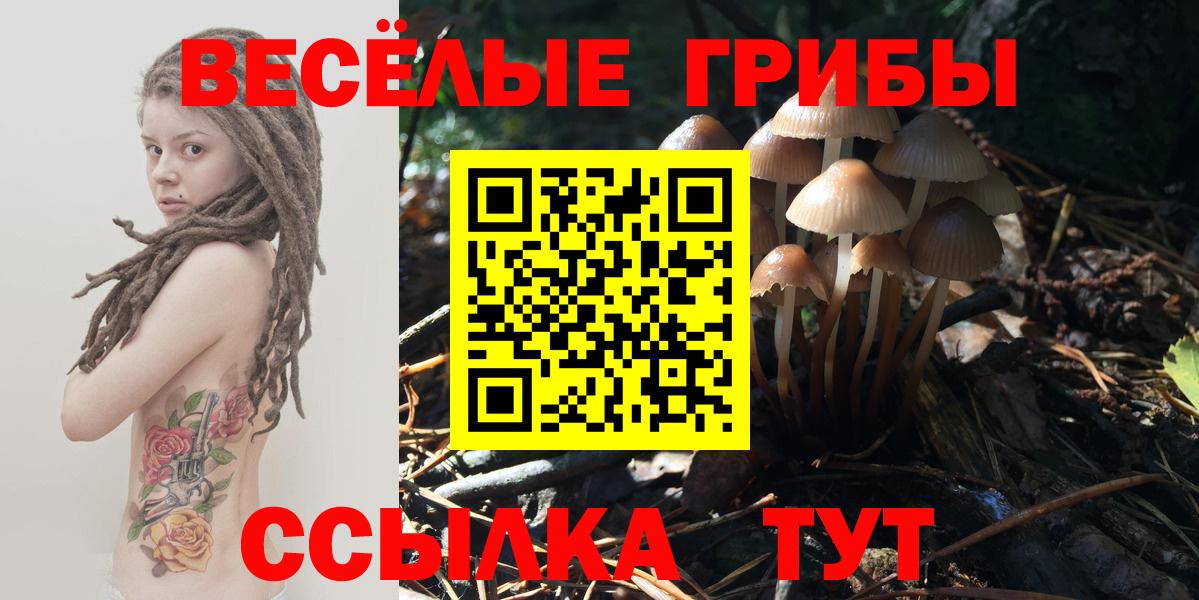 Галлюциногенные грибы GOLDEN TEACHER  Галлюциногенные грибы Cubensis  Вход с VPN  Черкесск 